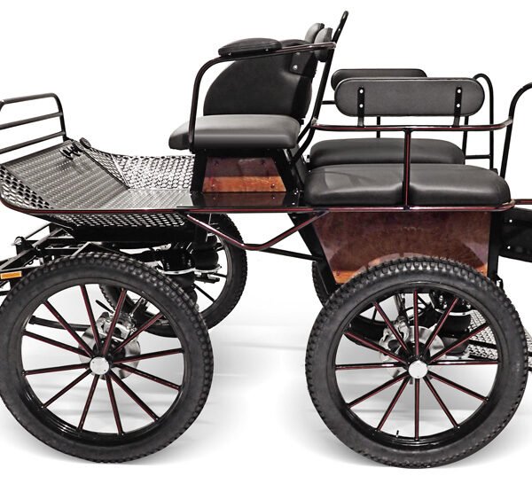 Coche otiumline OTL T 125 Plus GLINKOWSKI