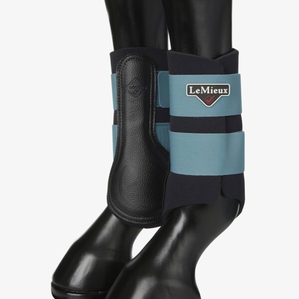 Protecciones de diario LEMIEUX